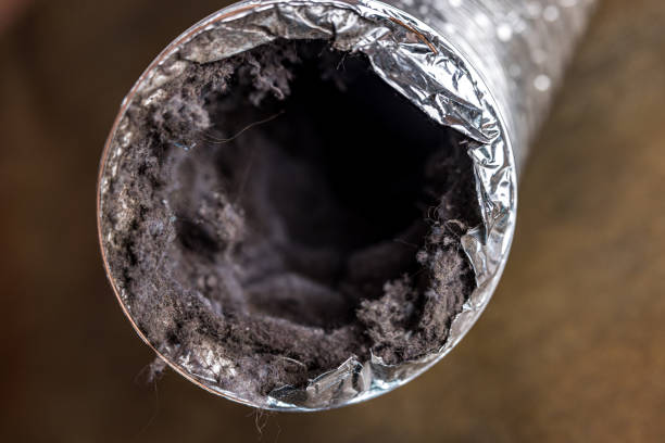 Best Professional Duct Cleaning Services  in Cinco Ranch, TX