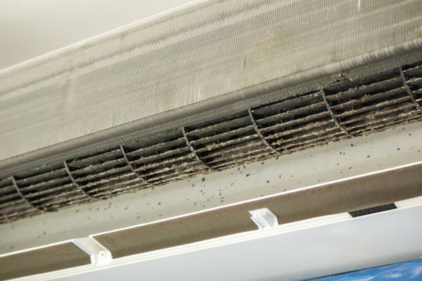Best Affordable Duct Cleaning Services  in Cinco Ranch, TX